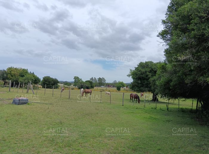 imagen 8 de la propiedad 142181