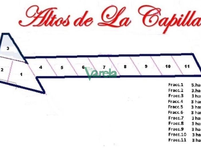 imagen 2 de la propiedad 119562