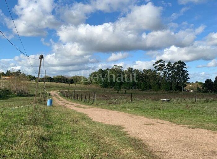 imagen 14 de la propiedad 139509