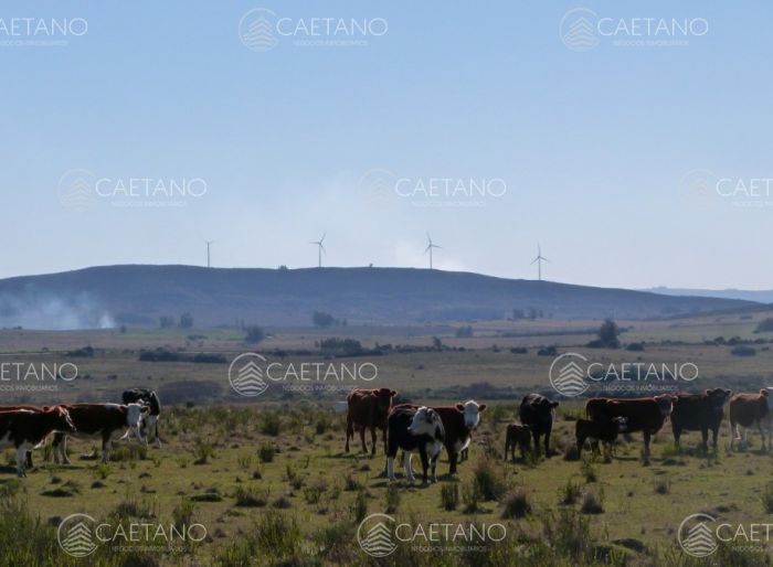 imagen 11 de la propiedad 92957