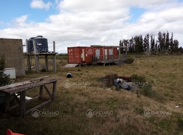 imagen 13 de la propiedad 93084