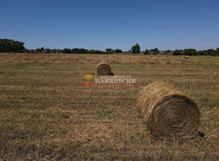 imagen 10 de la propiedad 142932