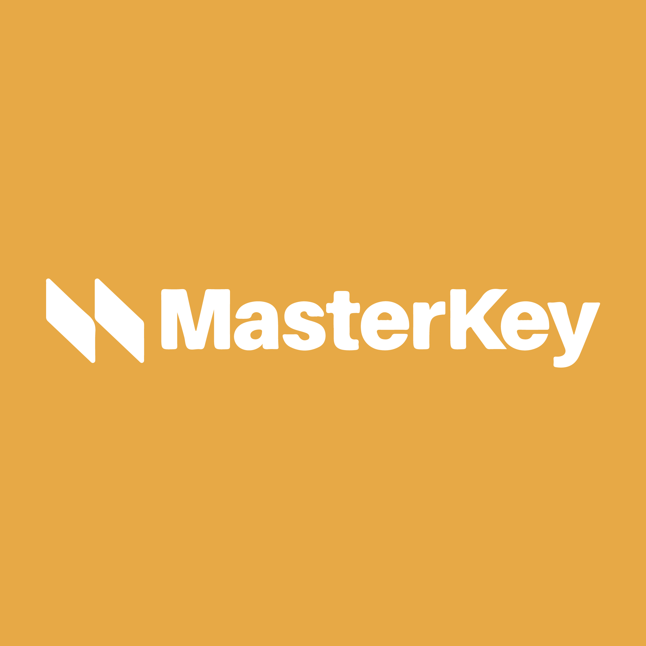 Imagen de Masterkey