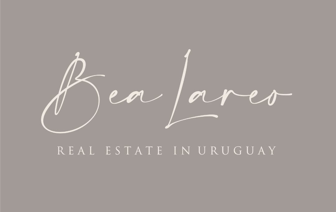 logo de inmobiliaria Bea Lareo Real Estate